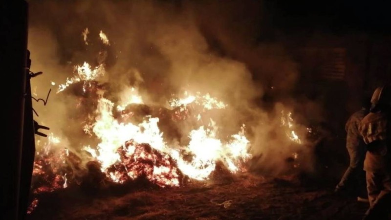 Атырауда 3 бала өртеніп кетті (Видео)