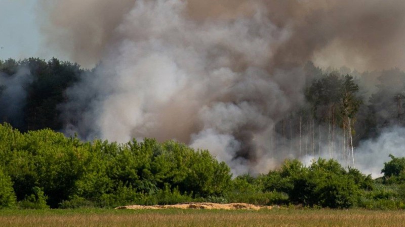 Қостанай облысындағы өртке байланысты орман шаруашылығы директоры қамауға алынды
