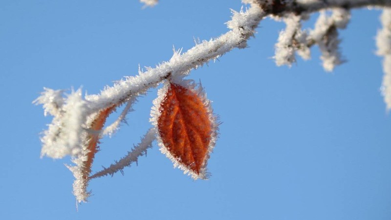 5-7 қазан күндері қар жауып, күн суытады
