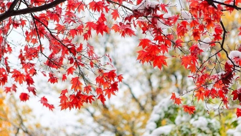 13 қазан күнгі ауа райы болжамы