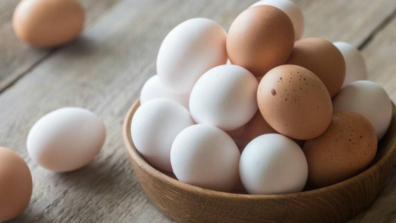 Қазақстанда жұмыртқа 40 пайызға қымбаттауы мүмкін - Қазақстан жаңалықтары