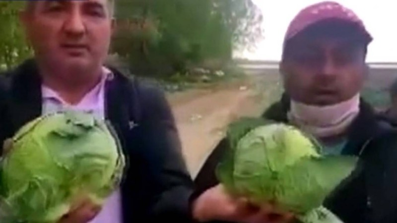 "Бір тонна қырыққабатты тегін алып кетіңдер": Түркістан облысындағы шаруалар дау-дамай шығарды - Қазақстан жаңалықтары