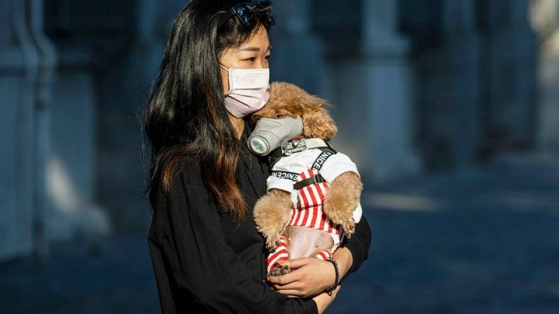 Коронавирус тағы үш елде тіркелді - Қазақстан жаңалықтары