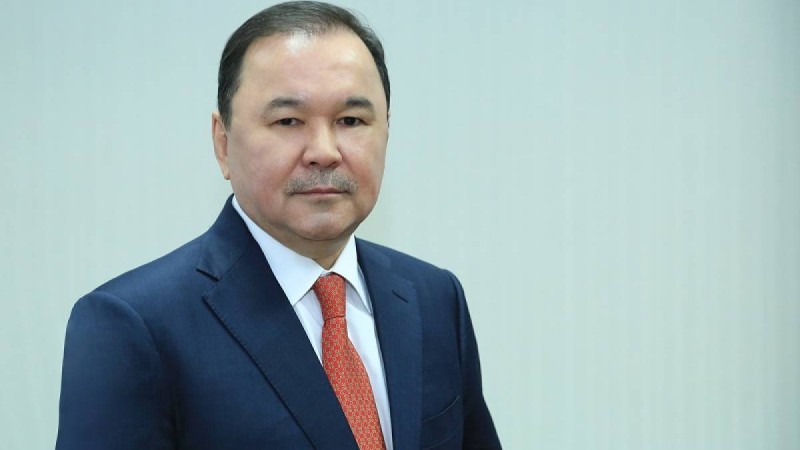 Президент бизнес-омбудсменнің отставкаға кету туралы өтінішін қанағаттандырды