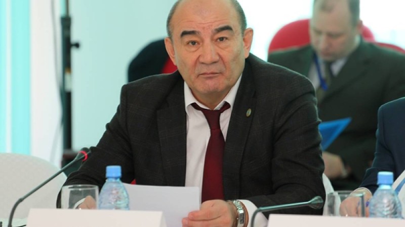 Әйелдерге рақымшылық жасау - профессор Қоғамовтың пікірі