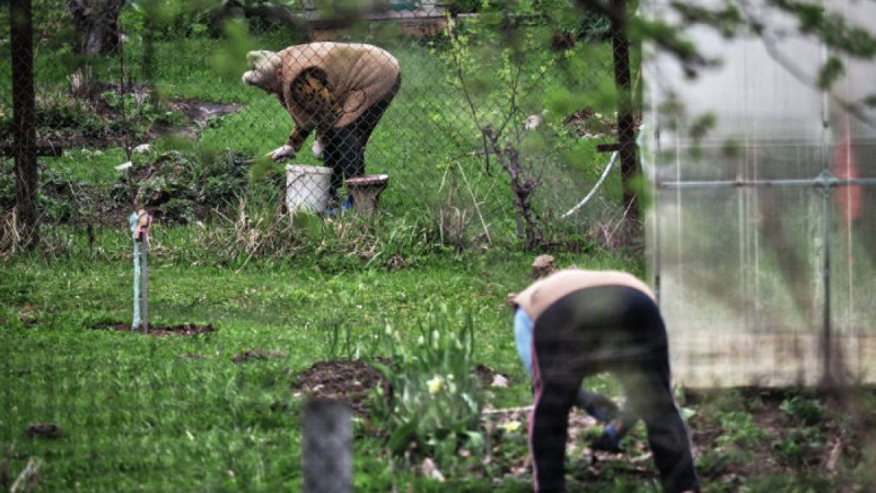 Алматылықтар облыста орналасқан саяжайларына бара алады