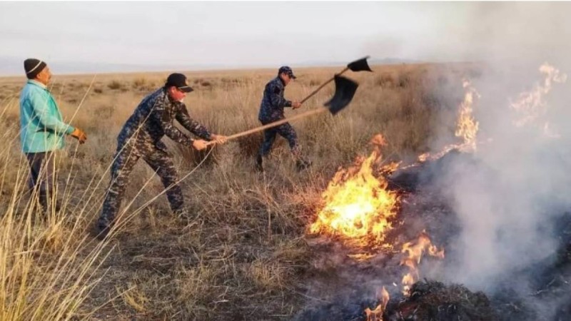 Абай облысы Үржар ауданында алапат өрт болып жатыр (фото)