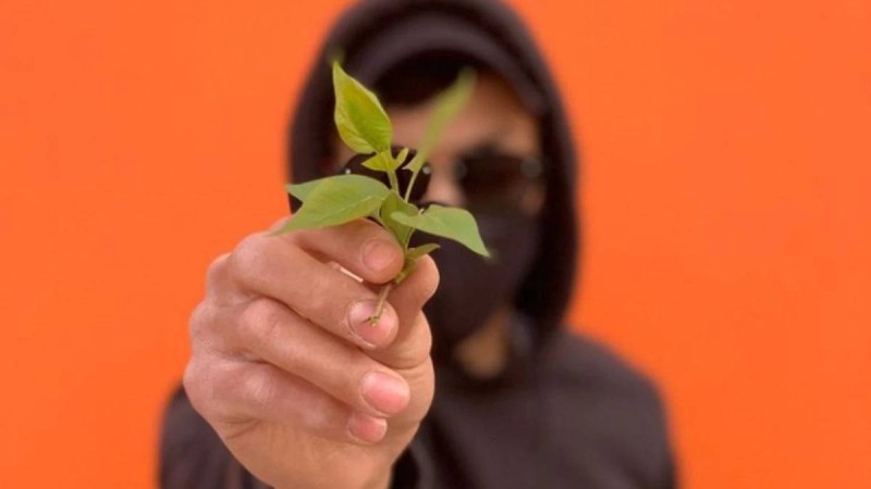 Бетперде таққан адам "Жыл адамы 2023" мәртебесіне ие болды