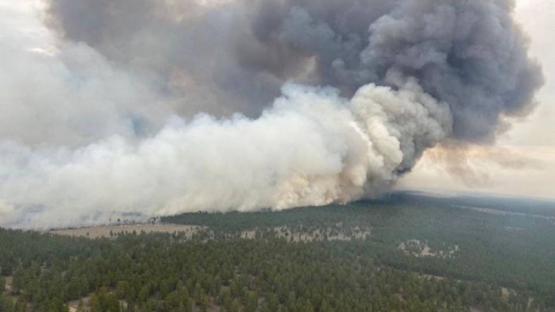 Қазақстанның шығысындағы орман өртіне балықшылар кінәлі болуы мүмкін