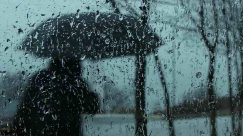 Қазақстанда алдағы күндері жаңбыр жауады - Қазақстан жаңалықтары