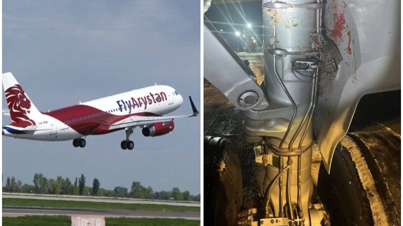 Орал-Астана бағытындағы ұшақ құстармен соқтығысты