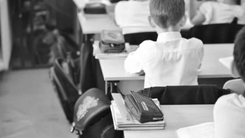 "Небәрі 15 минуттаың ішінде": Алматы облысында 2-сынып оқушысы мектепте көз жұмды - Қазақстан жаңалықтары