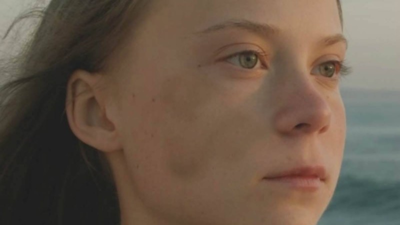 Грета Тунбергтің құрметіне ұлулардың жаңа түрі аталды - Қазақстан жаңалықтары