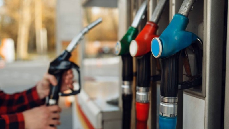 Жанармайды қымбаттатқан компаниялар әшкереленді