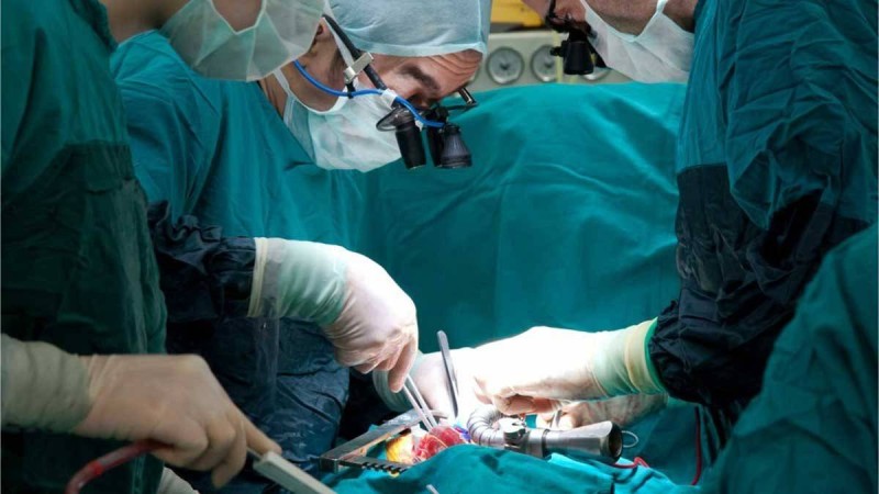 Шымкентте жүкті әйелдің ішінен бір уыс құрты алынды - Қазақстан жаңалықтары