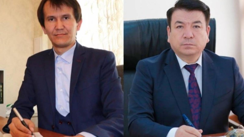 «Естіп, төбе шашым тік тұрды»: әлеуметтік желіде Оқу-ағарту министрі өткір сынға ілікті