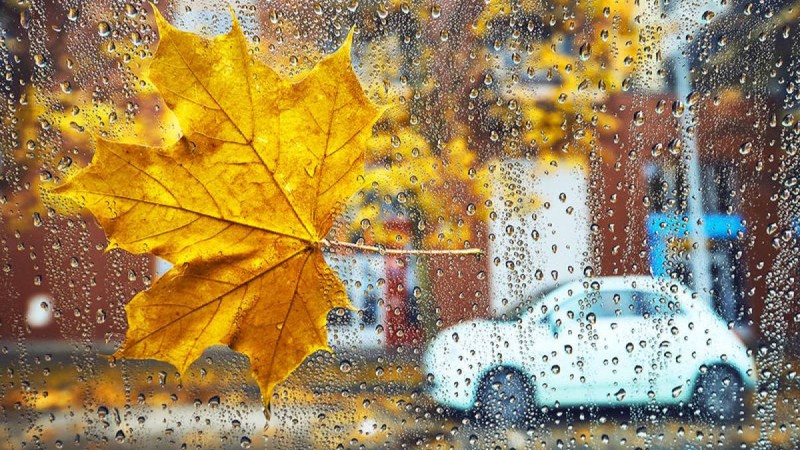 Қазан айы аяздан басталады - ауа райы болжамы