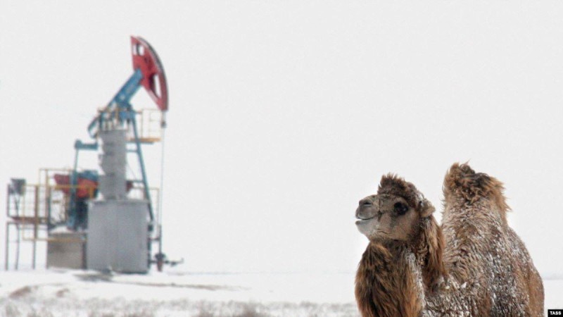 Ақтөбедегі Қытай компаниясы "млн теңге жалақы түбіртегіне" қатысты жауап берді