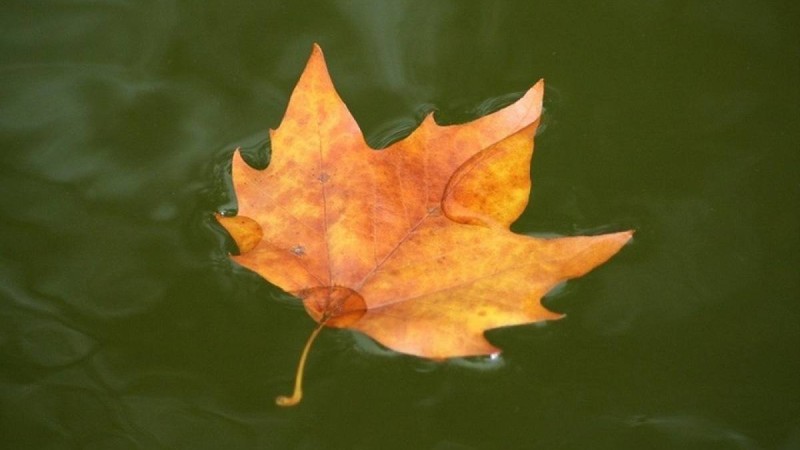 Қазақстанда 26-28 қыркүйекке арналған ауа-райы болжамы