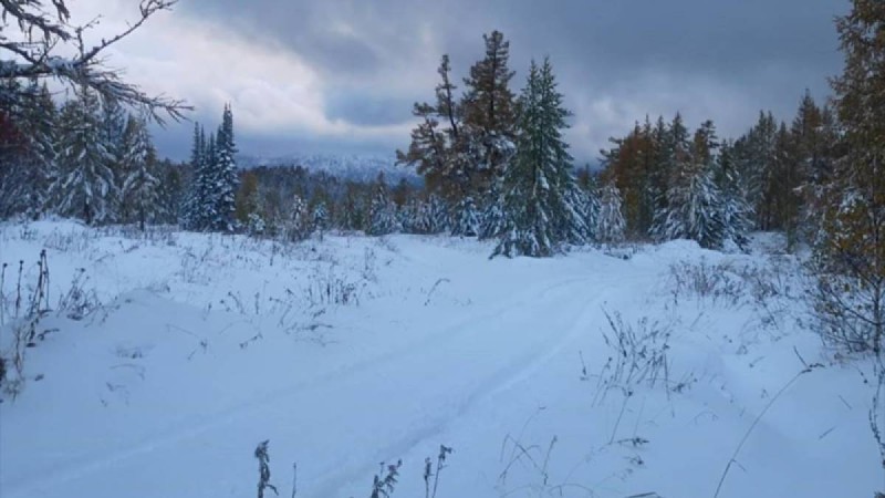 Шығыс Қазақстан облысында 12 сантиметр қар жауды