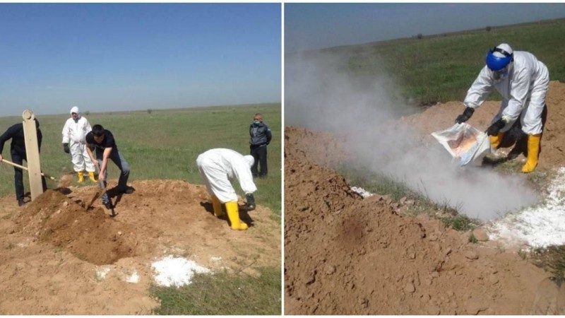 "Апай-топай көмді де тастады": Алматыда коронавирустан көз жұмған науқастың туыстары жерлеу рәсіміне наразылығын білдірді - Қазақстан жаңалықтары