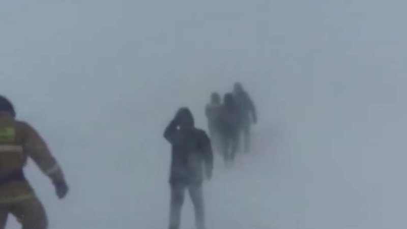 Ақмола облысында жолда бір арқанға жармасқан адамдар видеоға түсіп қалды