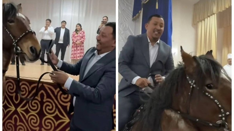 "Малды неге сахнаға шығарады": "Өнер қырандары" театрының әртісіне ат мінгізді