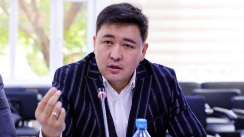 «Азаматтардың көз жасы себеп». Депутат Назарбаевтың қарындасынан зардап шеккендердің мұңын жеткізді