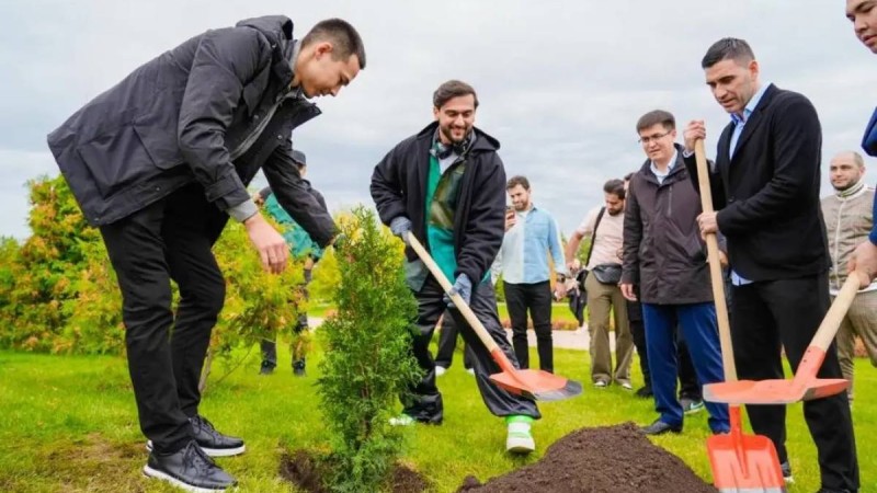 «Таза Қазақстан»: Бір жылда 1,6 млн түп ағаш егілді