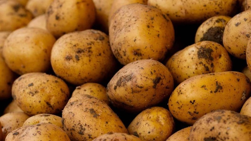 Картоп 300 теңге: Қазақстандағы азық-түлік бағасы қырғызстандықтарды таңғалдырды