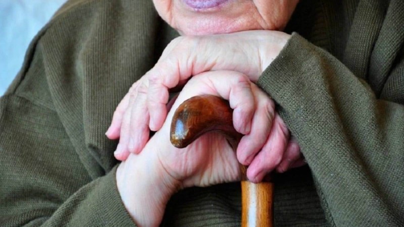 "Сенен ұлым ретінде сұраймын": Зейнеткердің хаты Ақмола облысы ПД басшысының көңілін босатты - Қазақстан жаңалықтары