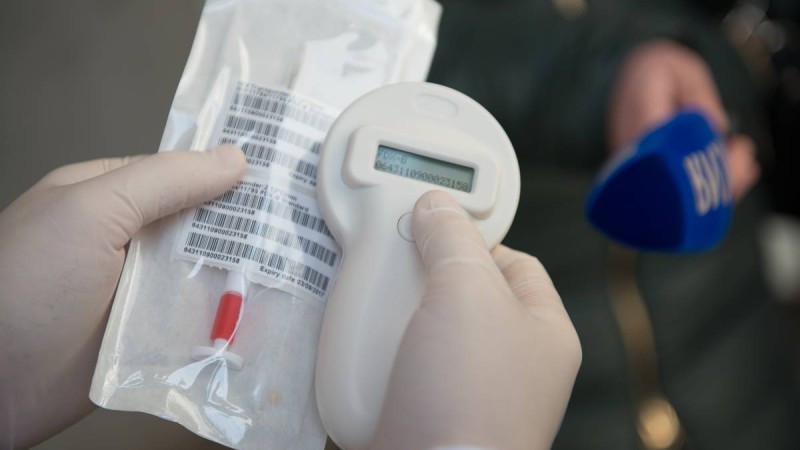 Алматыда чип салу науқаны басталды