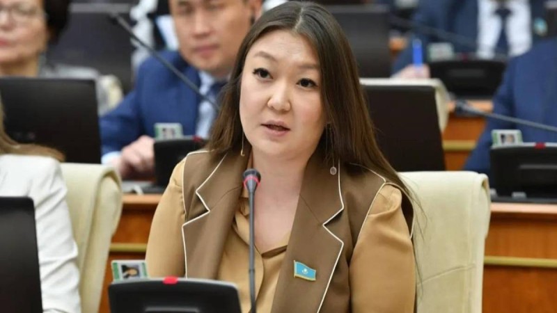 Қазақстанда ашық қалған кәріз құдығы үшін әкімдерді жазалау ұсынылды