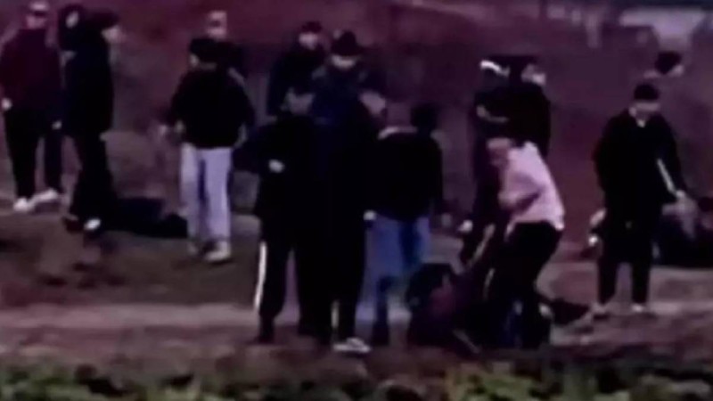 Алматы облысында мектеп оқушыларының жаппай төбелесі видео түсіп қалды