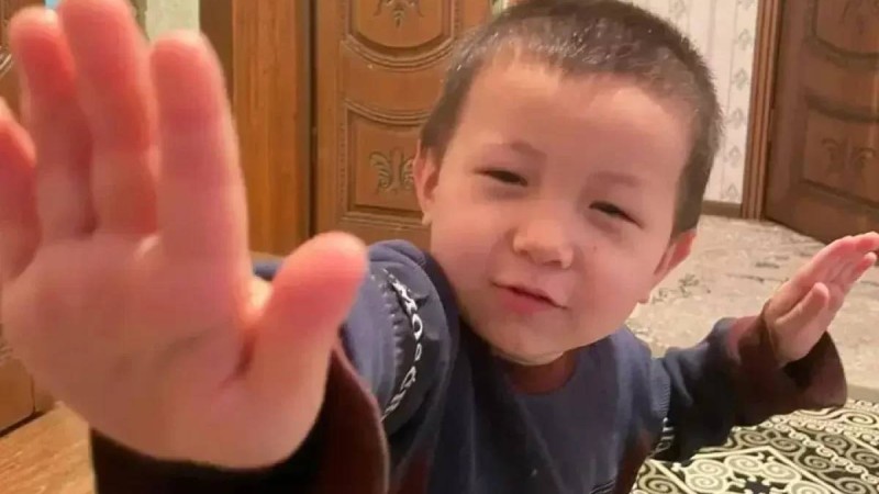 Үмітке толы үшінші күн: жоғалған 4 жасар баланы іздеуге әскерилер қосылды