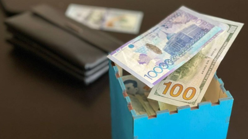 Шағын несиелер: ойлы көзқарас оң нәтиже береді