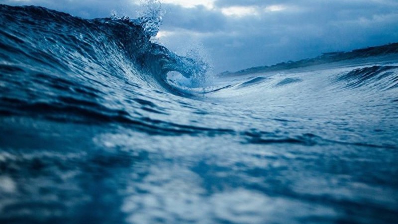 Адамға ұқсас балық жұрттың зәресін ұшырды