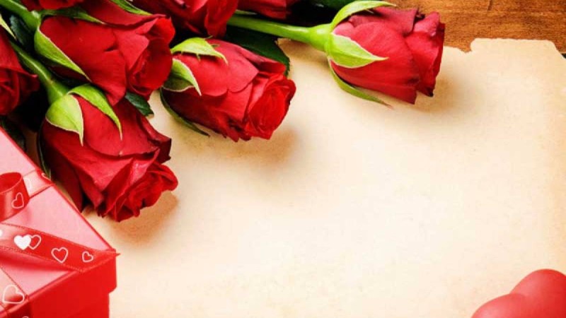 Әпкеге тілек. Әпкені құттықтау