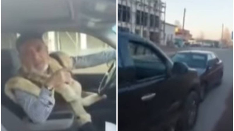 Шымкенттік "дерзкий" ақсақал Lada жүргізушісінен кешірім сұрады