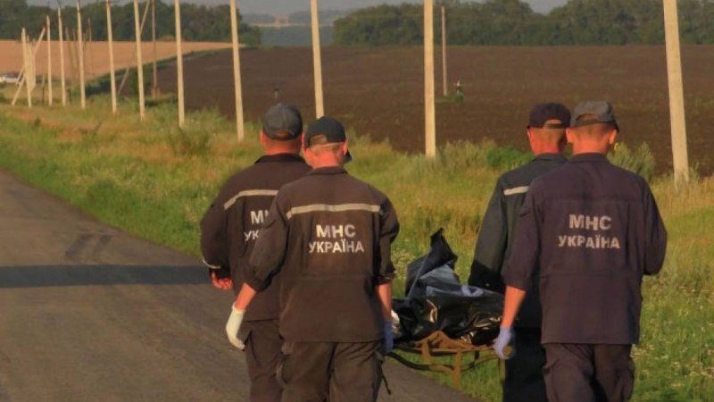 Желіде MH17 апатына қатысты іс бойынша жаңа құжаттар пайда болды