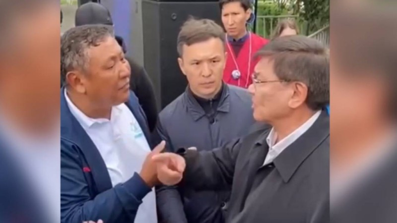 Қоғам белсендісі Ертісбаевқа "сен бұлбұлсың" деп бетіне басты (ВИДЕО)