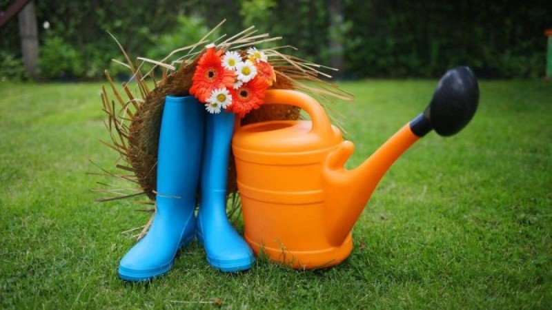 Нұр-Сұлтан тұрғындарына саяжайға бару үшін арнайы рұқсат қағазы берілуі мүмкін