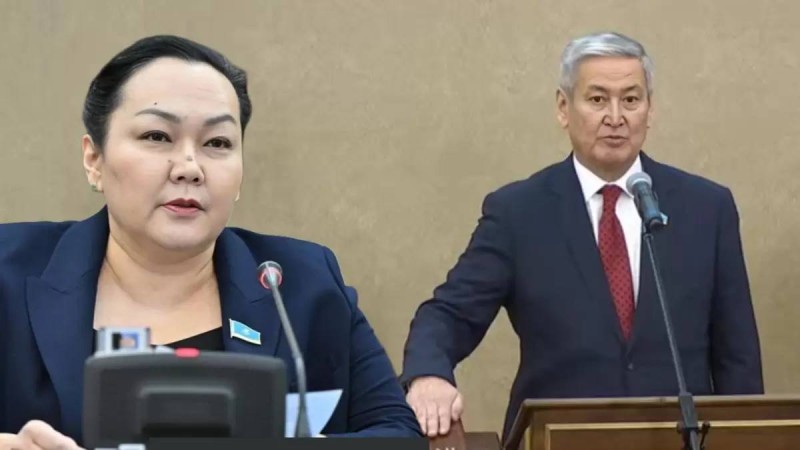 Танашева Парламенттен неге кетті? Оның орнына кім келді