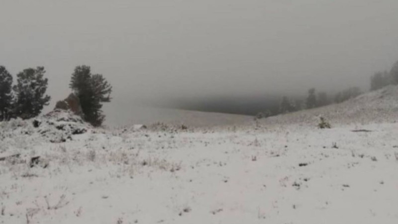 Шығыс Қазақстан облысында қар жауды