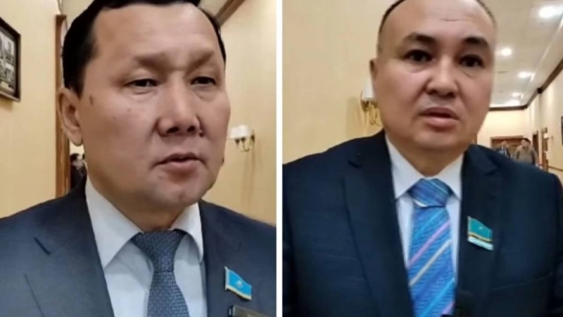 Депутаттар Болат Назарбаевқа арналған астың саяси астары бар екенін айтты