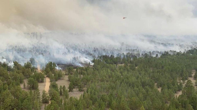 ШҚО-дағы орман өртін ауыздықтауға тікұшақтар жұмылдырылды - Қазақстан жаңалықтары