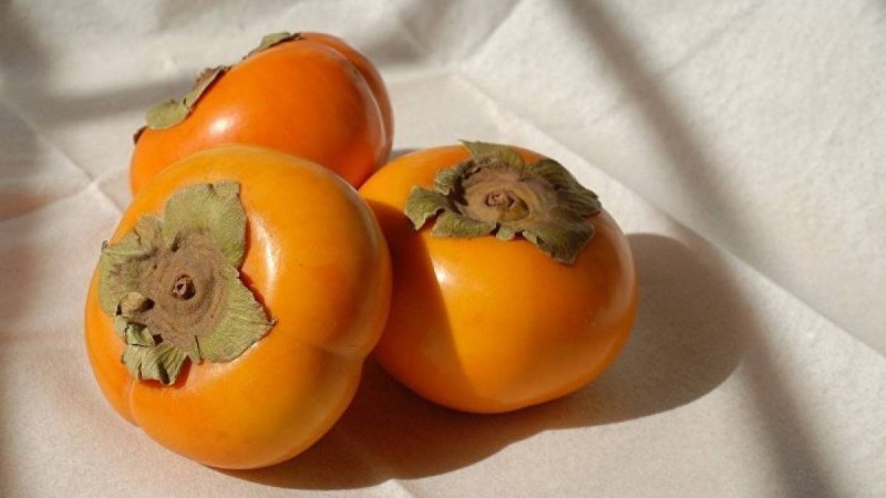 Құрма бүкіл адамға пайдалы емес – кімдерге жеуге болмайды?