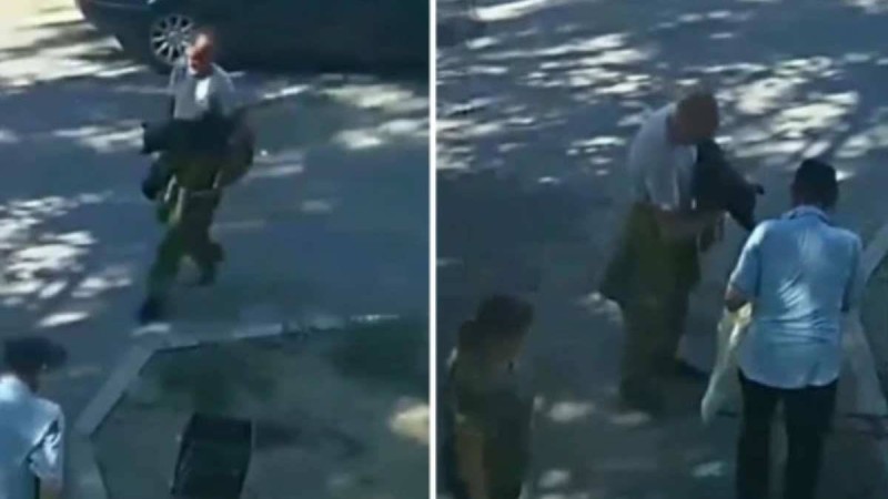 "Мөшекке салып, балғамен соққан": Қостанайда иесі итін аяусыз өлтірген