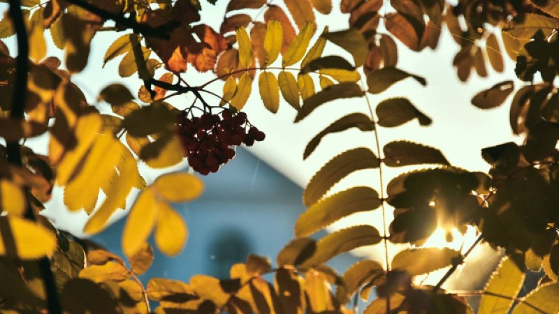 Қазақстандықтар қыркүйекте қанша күн демалады?