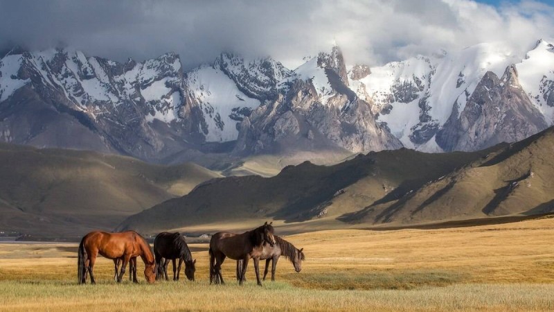 "Мысалы, Абай, Қызылжар облысы деп". Саясаткер үш облыстың атауы өзгеретінін болжады